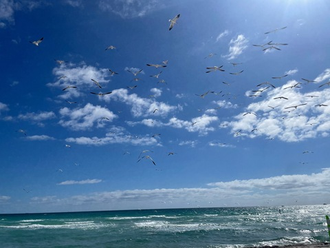 love.jessica header picture leakfans.com