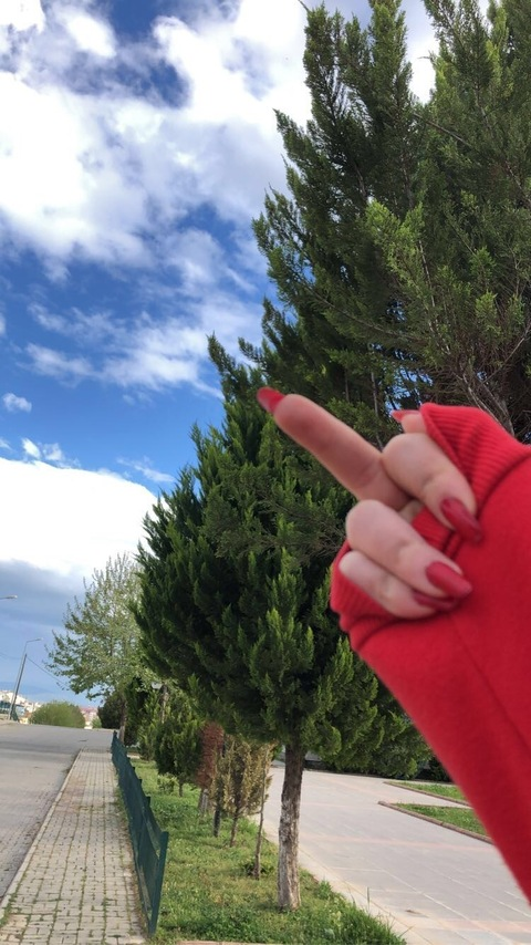 lovecatt header picture leakfans.com