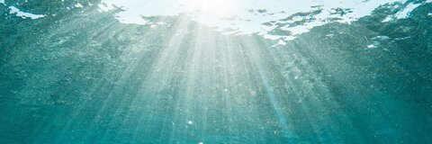 loveladypamela header picture leakfans.com