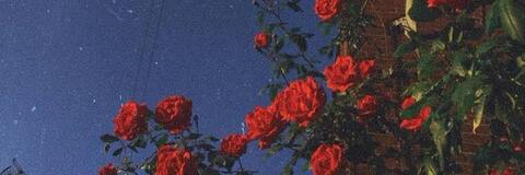 lovelunar header picture leakfans.com