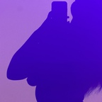 lovelyvenuskp profile picture leakfans.com