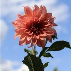 lovemebad profile picture leakfans.com