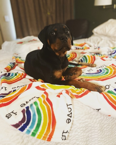 lovemore10 header picture leakfans.com