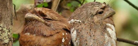 lover0909090 header picture leakfans.com