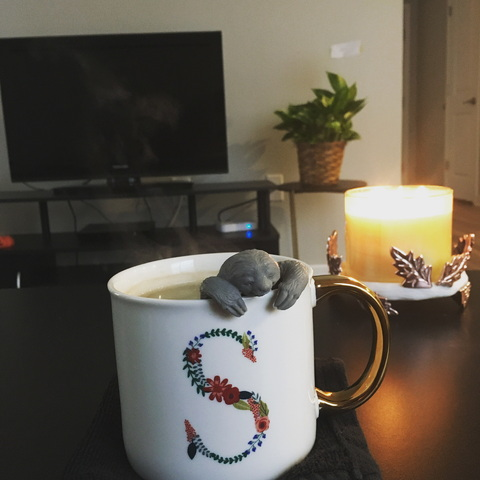 lovesamanthajo header picture leakfans.com