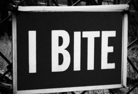 lovesanctuary header picture leakfans.com