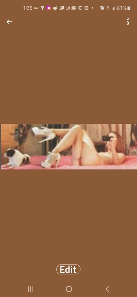 low_country_butterfly header picture leakfans.com