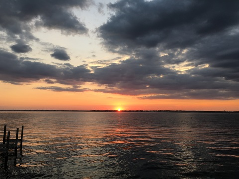 lozriis header picture leakfans.com