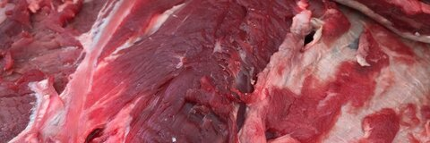 lucamata header picture leakfans.com