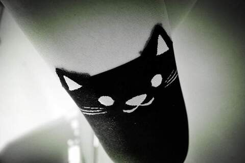 lucyboom header picture leakfans.com