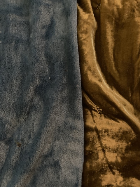 lucyjest header picture leakfans.com