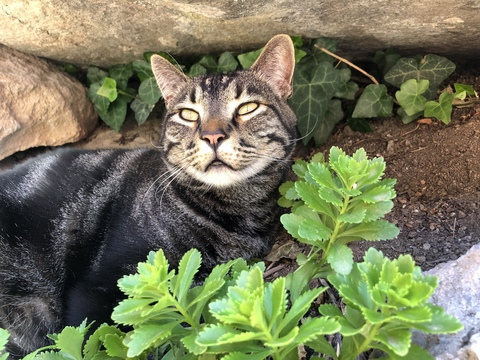 luna6312 header picture leakfans.com