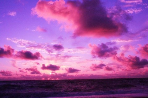 lunadlight header picture leakfans.com