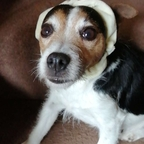 lunalovelux profile picture leakfans.com