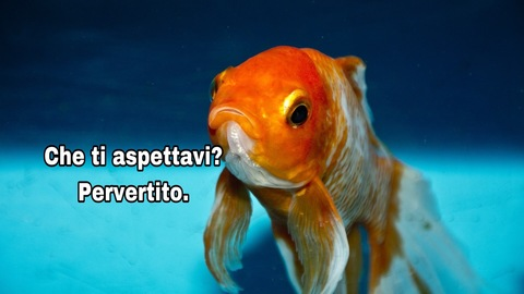 luxferopandemonium header picture leakfans.com