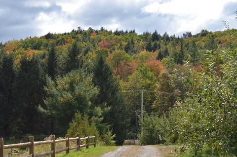 luxindarkness header picture leakfans.com