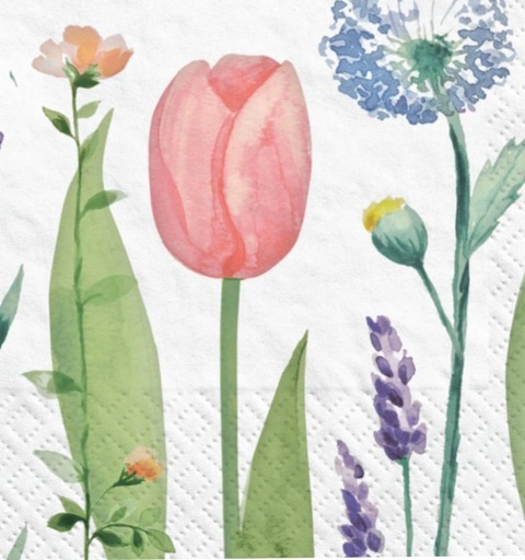 luxuriouslind header picture leakfans.com