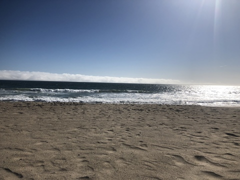 lx_conejx_malx header picture leakfans.com