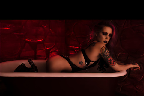 Header of lylaivypremium