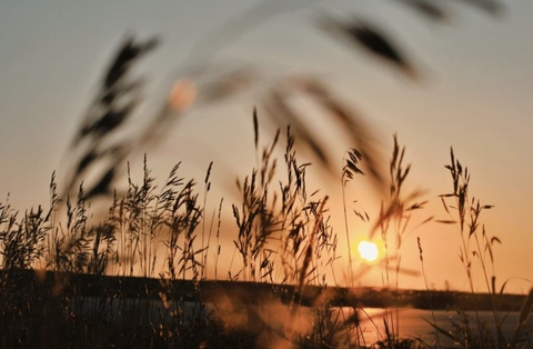 lynmitchell header picture leakfans.com