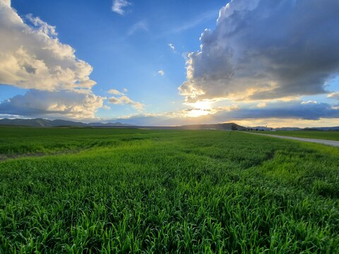 lyssh header picture leakfans.com