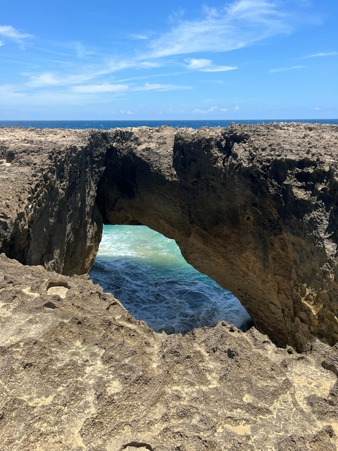 maalne header picture leakfans.com