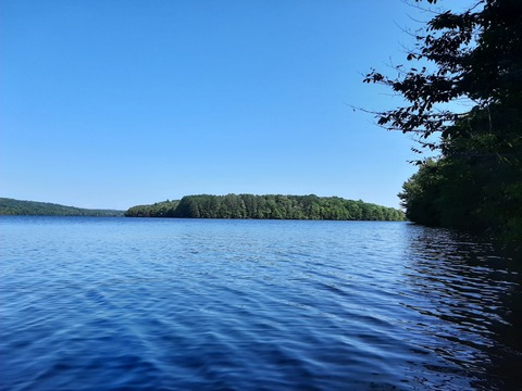 madam_pleasure header picture leakfans.com