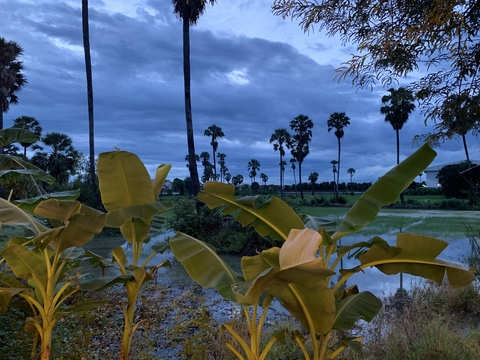 madee header picture leakfans.com