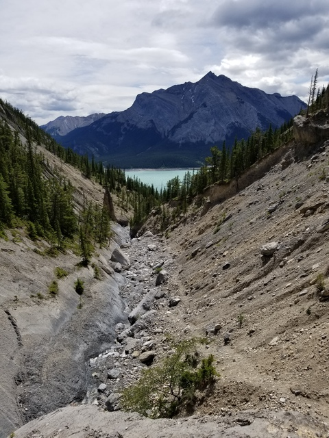 madidoll header picture leakfans.com