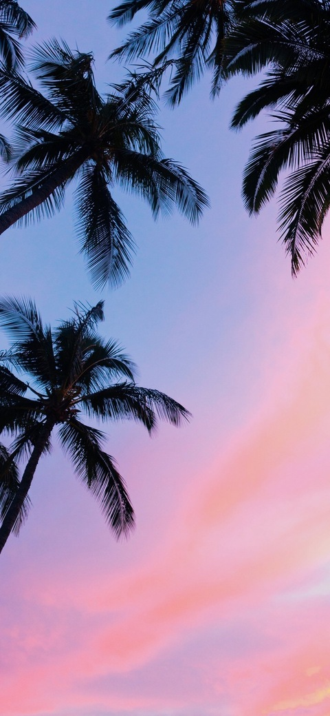 madison.rose1456 header picture leakfans.com