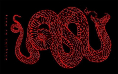 madusa003x11 header picture leakfans.com