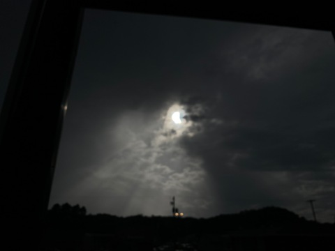 maeshroom header picture leakfans.com