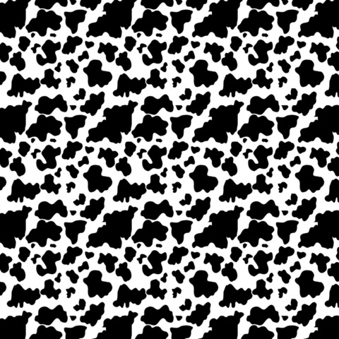 maggiebabyxxx header picture leakfans.com