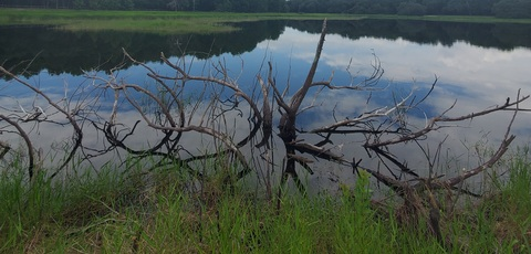 maiyaakrin header picture leakfans.com