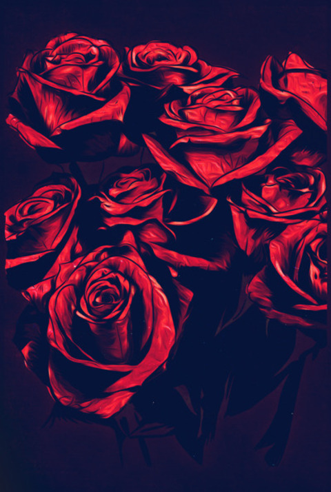 majestic.ec header picture leakfans.com