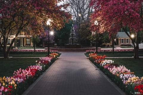 majestyy header picture leakfans.com