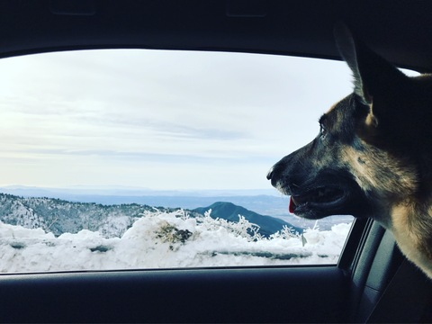 makemyownwaves header picture leakfans.com