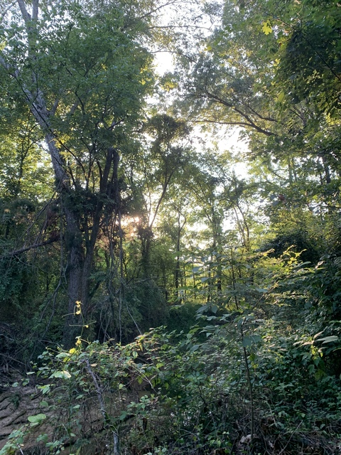 malachitaylor header picture leakfans.com