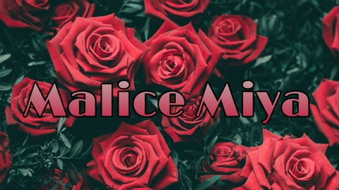 Header of malicemiya