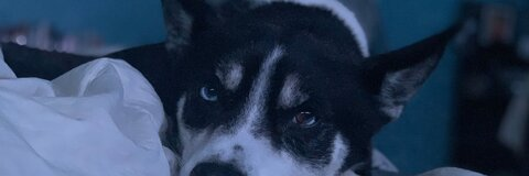 malissam10 header picture leakfans.com