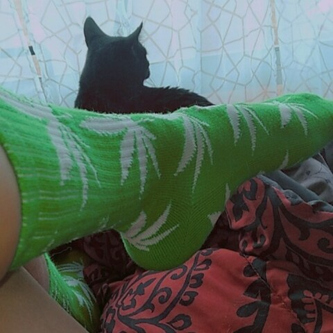 mamacitarosita header picture leakfans.com