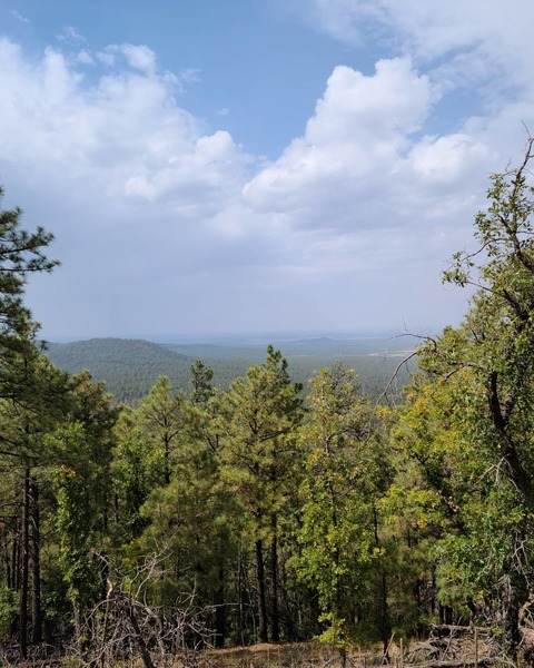 mansonthekit header picture leakfans.com