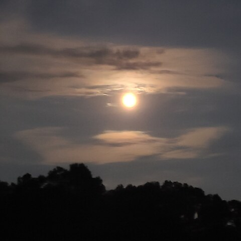 manw1th0utfear header picture leakfans.com