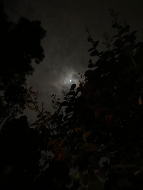 mariacataleya header picture leakfans.com