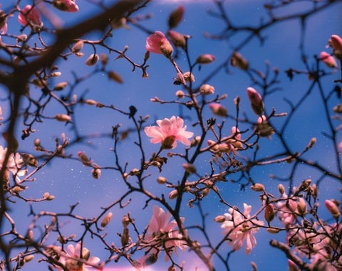 mariannan header picture leakfans.com