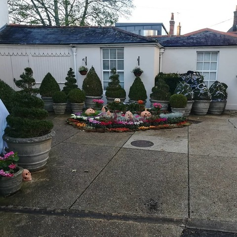 mariasoleronlyfans header picture leakfans.com