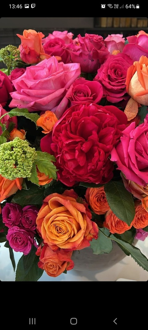 maribelmonteok header picture leakfans.com