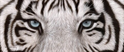 marilyn-monroe header picture leakfans.com