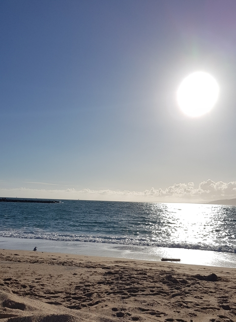 marjo header picture leakfans.com