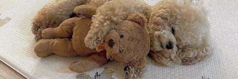 martinurb header picture leakfans.com